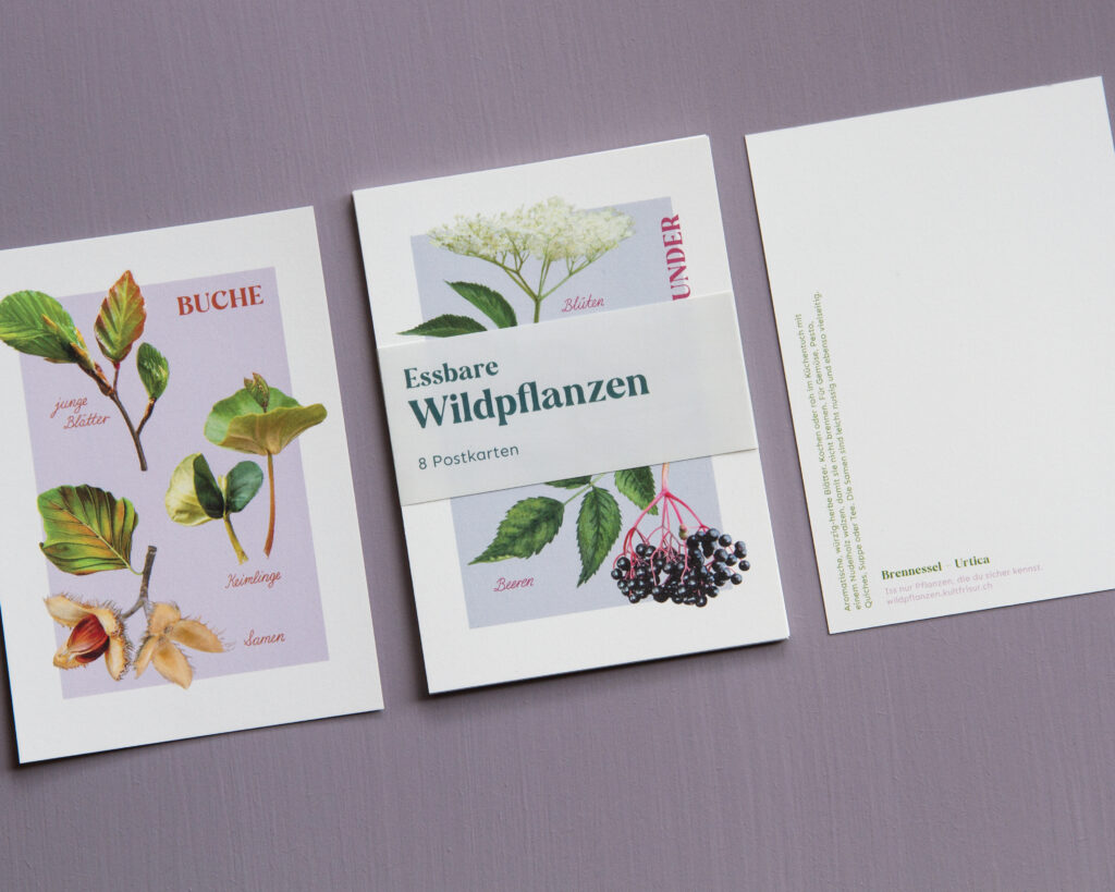 wildpflanzen-postkarten-set-smaller